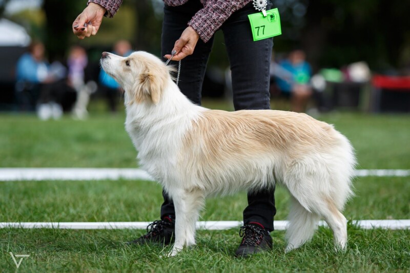 77_Ice Charming Ria Magic Bond_Ex4__3